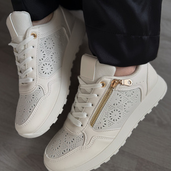 Botes D81209